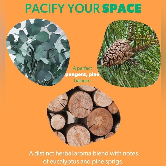 Melto | Eucalyptus and Pine | Bougie Scented Candle | Natural | 7.5 oz - Picture 7 of 8